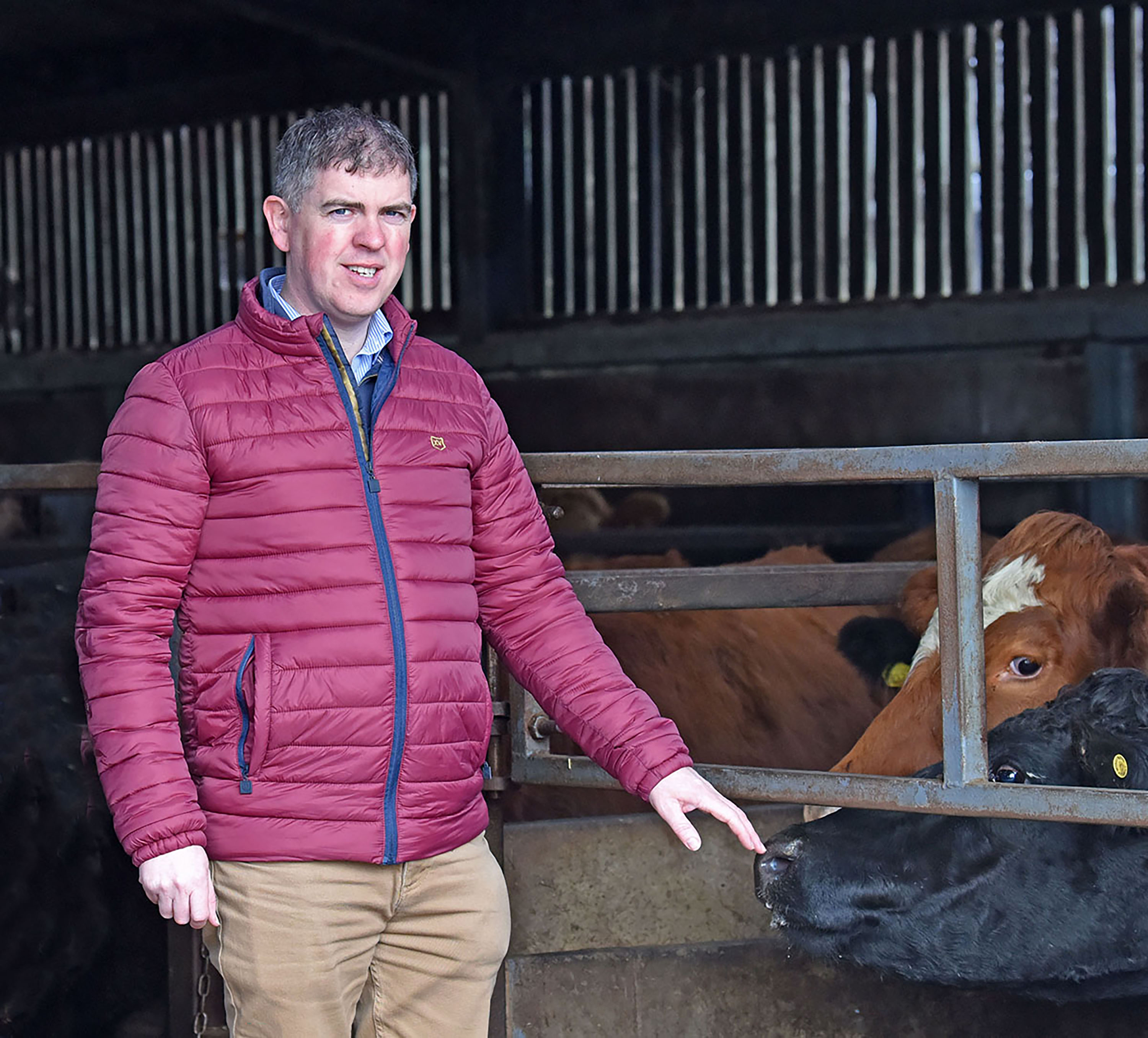 AFBI Open days - Improving the environmental sustainability of beef ...